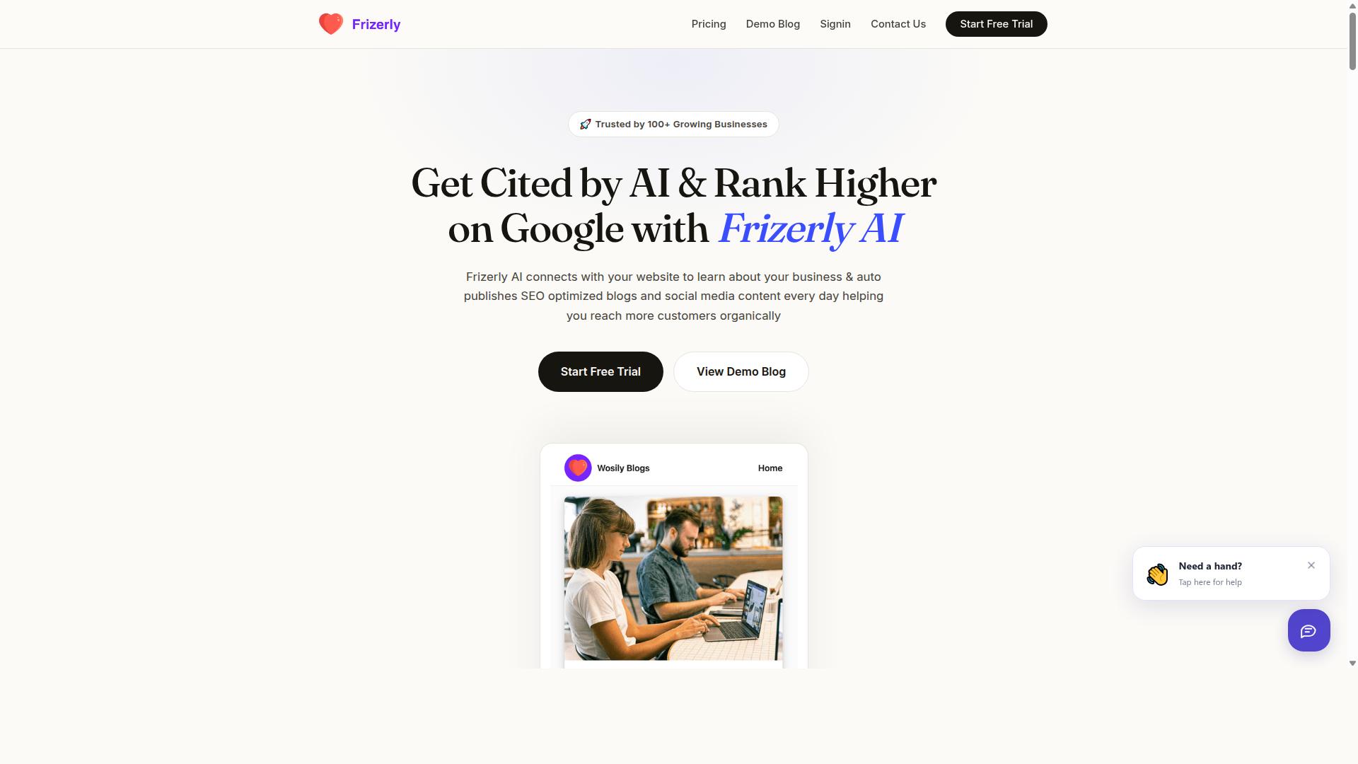 Frizerly website